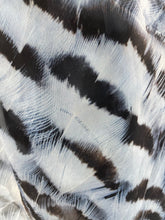 Load image into Gallery viewer, Snowy Owl Chiffon Scarve
